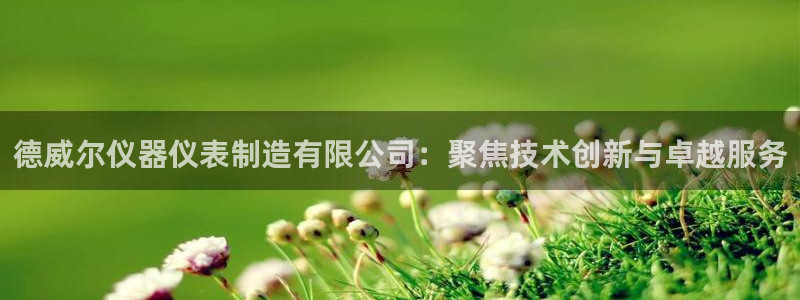 平台突然cq9电子维护：德威尔仪器仪表制造有限公司：聚焦技术