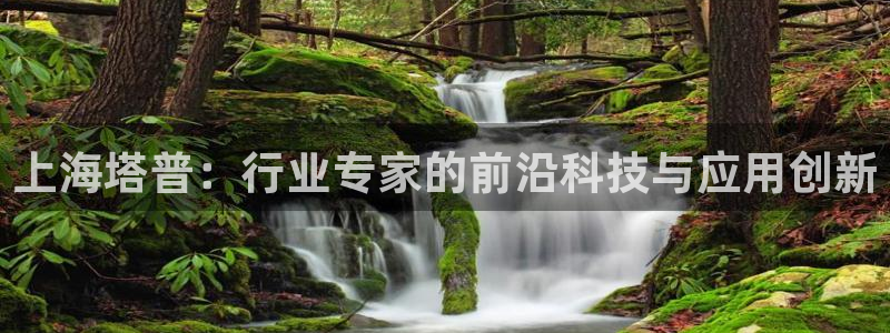 cq9电子下载链接：上海塔普：行业专家的前沿科技与应用创新
