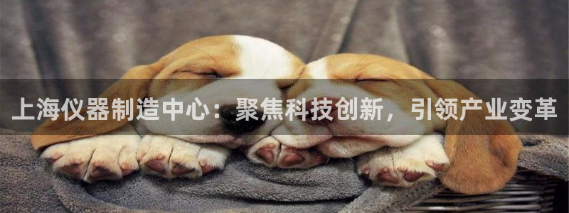 cq9传奇电子图片
