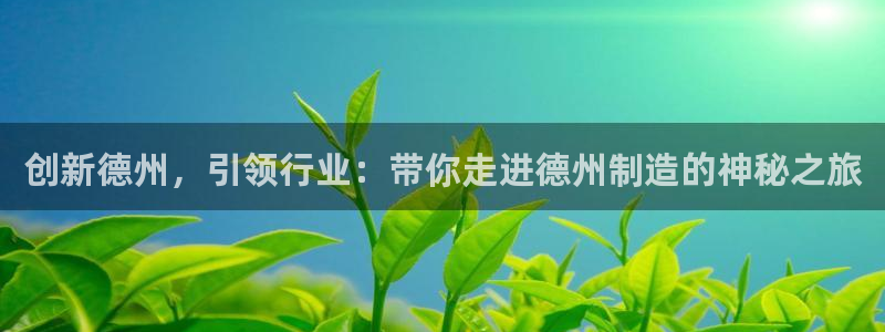 cq9传奇电子的由来：创新德州，引领行业：带你走进德州制造的