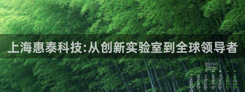 外国cq9电子爆分视频：上海惠泰科技:从创新实验室到全球领导