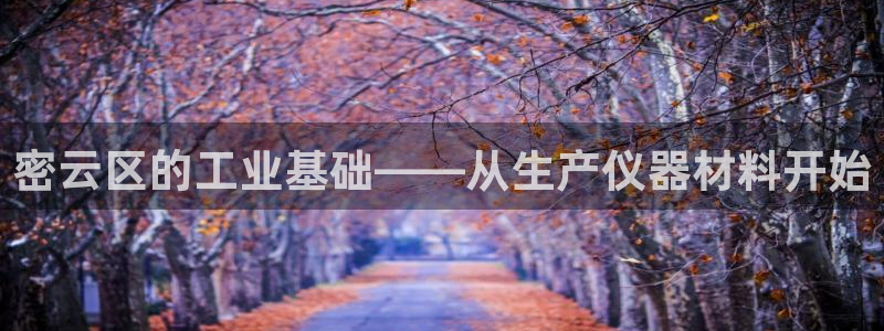 电子火之女王cq9