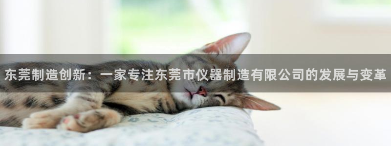 cq9电子连接：东莞制造创新：一家专注东莞市仪器制造有限公司