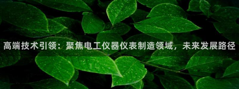 CQ9电子得分如何计算：高端技术引领：聚焦电工仪器仪表制造领
