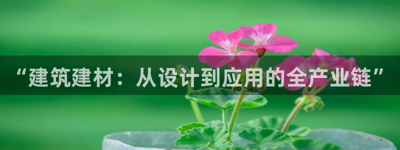 cq9传奇电子宙斯大奖：“建筑建材：从设计到应用的全产业链”
