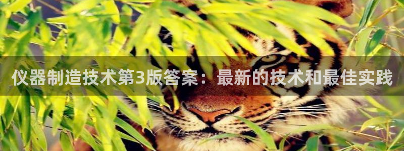 cq9电子舞火凤凰：仪器制造技术第3版答案：最新的技术和最佳
