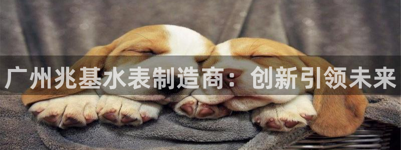cq9电子在哪下载：广州兆基水表制造商：创新引领未来