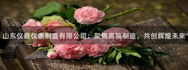 cq9电子特色游戏：山东仪器仪表制造有限公司：聚焦高端制造，