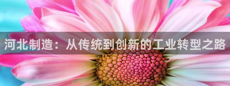 电子cq9精彩视频：河北制造：从传统到创新的工业转型之路