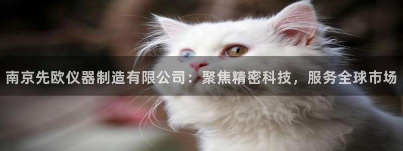cq9电子完整视频：南京先欧仪器制造有限公司：聚焦精密科技，