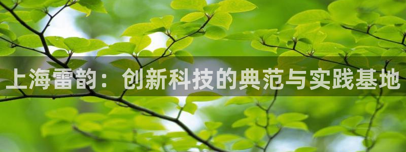 电子游戏cQ9：上海雷韵：创新科技的典范与实践基地