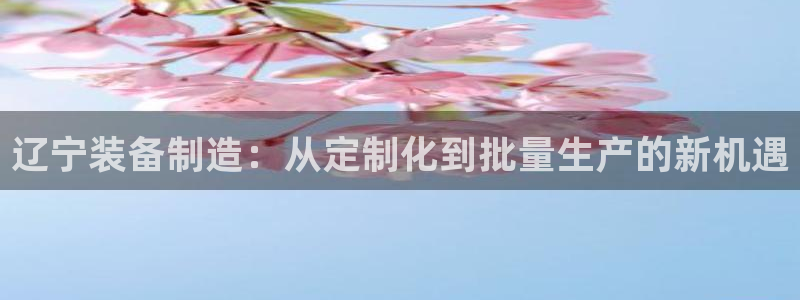 cq9什么电子：辽宁装备制造：从定制化到批量生产的新机遇
