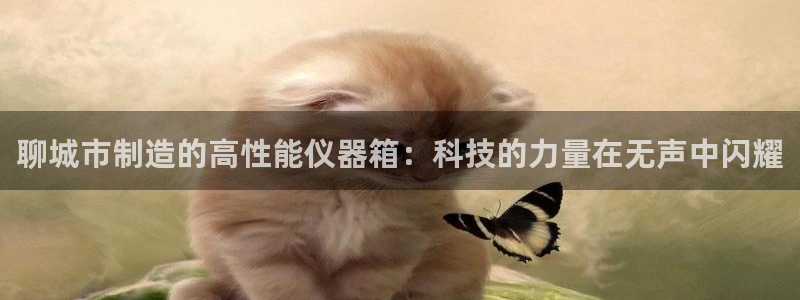 电子cq9是啥软件：聊城市制造的高性能仪器箱：科技的力量在无