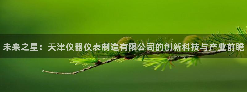 cq9电子维护后：未来之星：天津仪器仪表制造有限公司的创新科