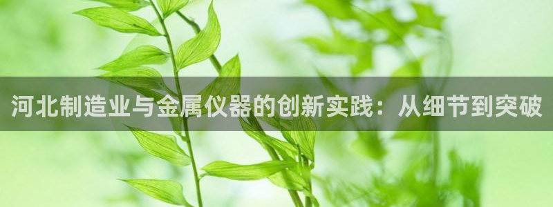 电子游艺cq9开挂：河北制造业与金属仪器的创新实践：从细节到