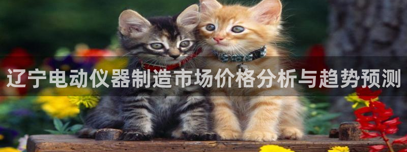 cq9电子以小博大：辽宁电动仪器制造市场价格分析与趋势预测