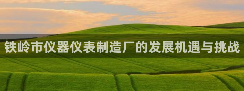 cq9电子试玩网站：铁岭市仪器仪表制造厂的发展机遇与挑战