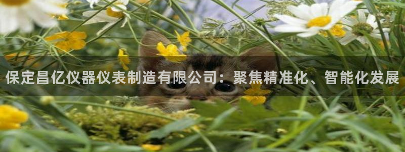 cq9传奇电子网址链接：保定昌亿仪器仪表制造有限公司：聚焦精