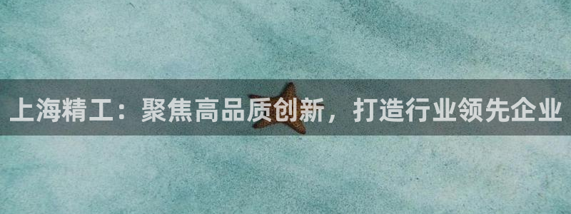 cq9电子技巧：上海精工：聚焦高品质创新，打造行业领先企业