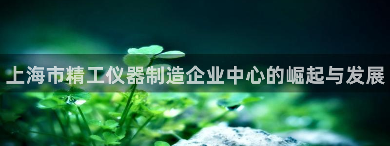 澳门cq9传奇电子：上海市精工仪器制造企业中心的崛起与发展