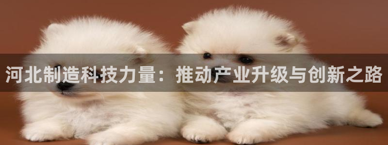 哪些网站有cq9电子