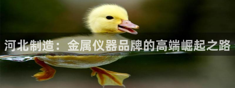 cq9电子雷神游戏：河北制造：金属仪器品牌的高端崛起之路