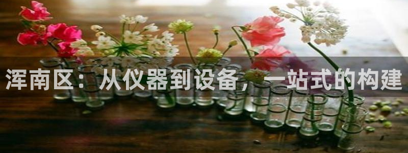 cq9电子 血之吻：浑南区：从仪器到设备，一站式的构建