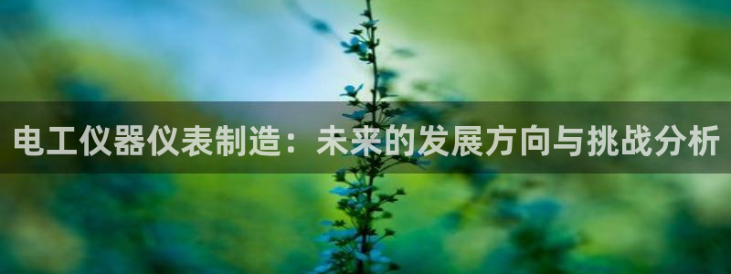 cq9电子382223：电工仪器仪表制造：未来的发展方向与挑