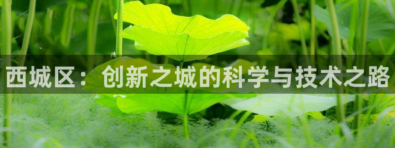 cq9传奇电子舞冠军：西城区：创新之城的科学与技术之路