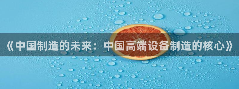 网赌cq9电子火神：《中国制造的未来：中国高端设备制造的核心