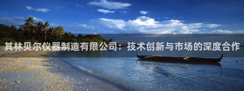 传奇cq9电子游戏：其林贝尔仪器制造有限公司：技术创新与市场