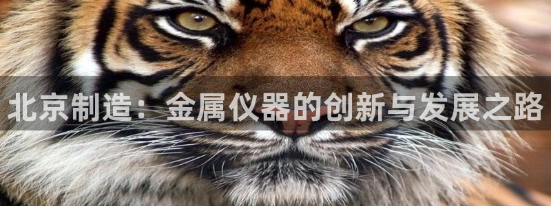 cq9电子娱乐推荐：北京制造：金属仪器的创新与发展之路