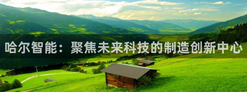 cq9电子这市集绝了：哈尔智能：聚焦未来科技的制造创新中心