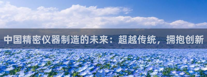 电子冰雪女王cq9：中国精密仪器制造的未来：超越传统，拥抱创