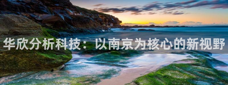 cq9电子退了大分追杀：华欣分析科技：以南京为核心的新视野