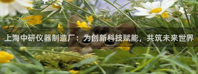 cq9电子游戏模板：上海中研仪器制造厂：为创新科技赋能，共筑