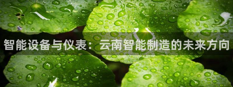 cq9电子套路：智能设备与仪表：云南智能制造的未来方向