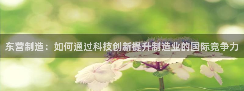 国外cq9电子比赛：东营制造：如何通过科技创新提升制造业的国