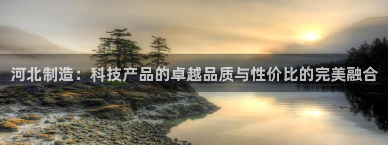 电子cq9狼月：河北制造：科技产品的卓越品质与性价比的完美融