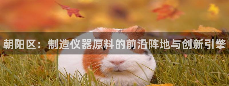 传奇cq9电子：朝阳区：制造仪器原料的前沿阵地与创新引擎