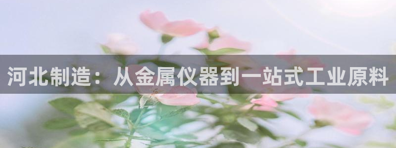 MG电子 PT电子 CQ9电子：河北制造：从金属仪器到一站式