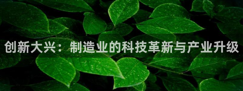 cq9电子免费体验：创新大兴：制造业的科技革新与产业升级