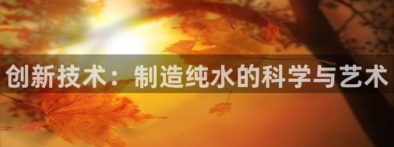 有电子cQ9的棋牌：创新技术：制造纯水的科学与艺术