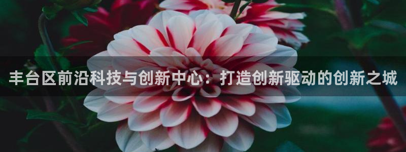 cq9电子关羽：丰台区前沿科技与创新中心：打造创新驱动的创新