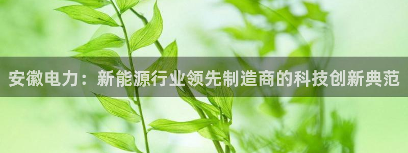 cq9电子游戏龙舟：安徽电力：新能源行业领先制造商的科技创新