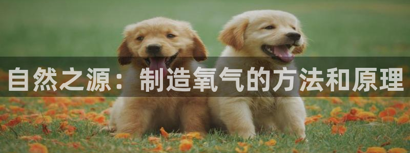 CQ9电子单手跳高高：自然之源：制造氧气的方法和原理