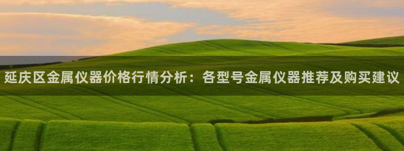 电子cq9佳佳：延庆区金属仪器价格行情分析：各型号金属仪器推