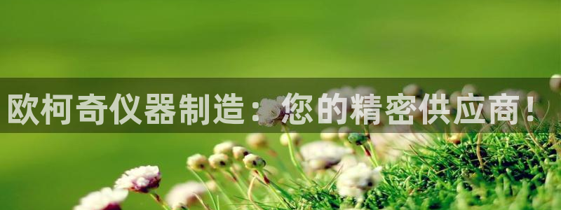 CQ9多旋转电子：欧柯奇仪器制造：您的精密供应商！