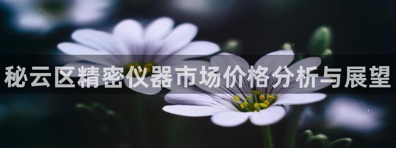 CQ9电子更多游戏：秘云区精密仪器市场价格分析与展望