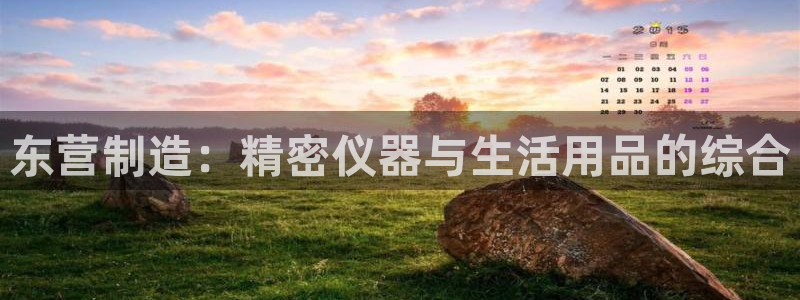 cq9电子手舞：东营制造：精密仪器与生活用品的综合